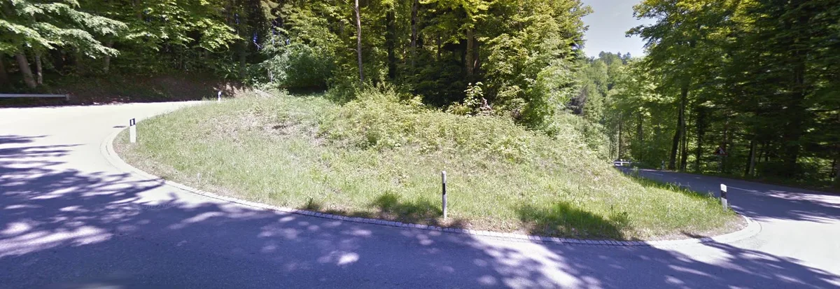 Kurve der Girenbadstrasse im Wald.